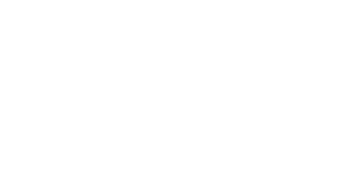 Amusnet partner logo